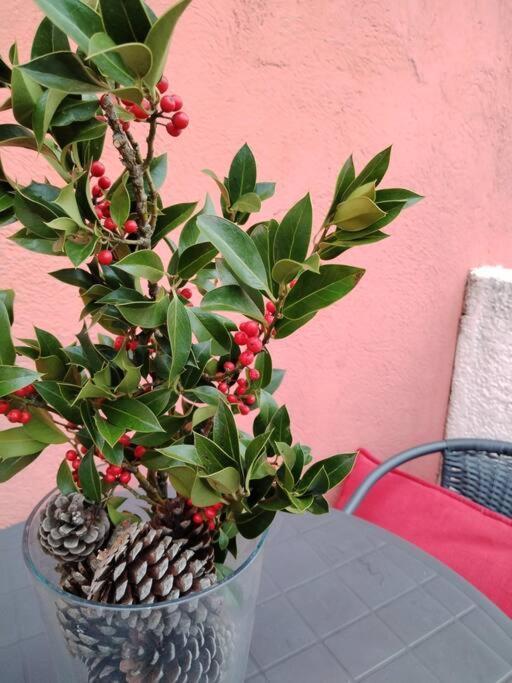 Appartement Le Petit Charrier à Aix-en-Provence Extérieur photo